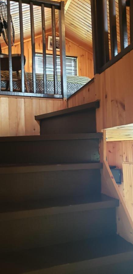泊威尔斯特凡马林木屋 Maskinongé 外观 照片